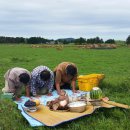 하도목장 이미지