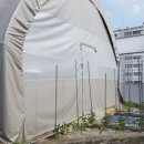 감탄개신점 이미지