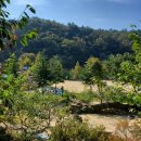 성균관숲유치원 이미지