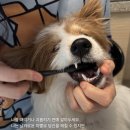 성수 이미지