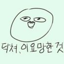 퍼니투퍼니