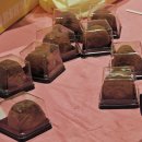 거산농장 | 김포 롯데몰 팝업에서 드디어 영접한 두쫀쿠 솔직후기