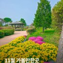 청양군농업기술센터 | 충남 청양 11월 가볼만한곳 국화 향기 가득한 국화전시회 지천생태공원