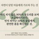 테미샘물