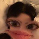 노마드(NOMAD) HOTEL 이미지