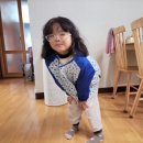 수경수선