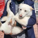 아이파크 동물병원 이미지