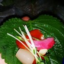 해물마당 이미지