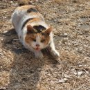 누리종합동물병원 이미지