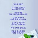 사랑님 이미지