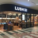 러쉬 (Lush)