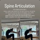 좌우대칭, 매트 필라테스 이미지