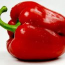 피망 이미지