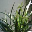 명장2동-14 이미지