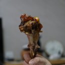 미스터바비 이미지