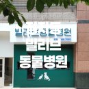빌리브동물병원 이미지
