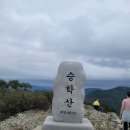 알프스공인중개사사무소 이미지