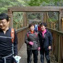 송광약국 이미지