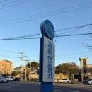 엔젤 | 제주여행 저렴한 제주엔젤카 이용 후기 (내돈내산, 가성비렌트)