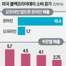 블프 이미지