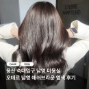 [숙대 미용실] 용산 머리 맛집 오테르 남영 애쉬브라운 염색 후기