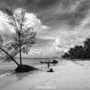 (주)이온팜 이미지