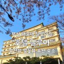 부산 해운대 달맞이길 추천 숙소 호텔 일루아 [ft. 벚꽃이 보이는 오션뷰 객실]