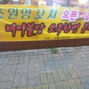 초원양꼬치각리