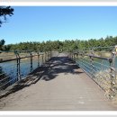 월송정매점 이미지