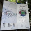 [FC서울] 서울월드컵경기장 주차 &amp; 나쵸석 시야 후기 ⚽️❤️🏟️