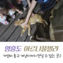 어르니 풀빌라 이미지