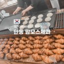 안동여행 필수코스 맘모스제과 빵투어 다녀온 후기