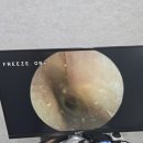 금강보청기송파센터 이미지