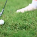 찬스게임장 이미지