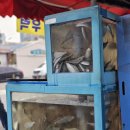 사천만수산