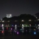 마동-10 이미지