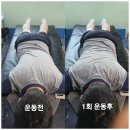 바디코어 트레이닝센터 이미지