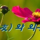 와 Daum카페