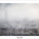 물안개피는마을 이미지