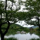 김두철농장 Daum카페