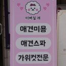 이뻐질개 이미지