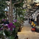 신미산업 | 강화도 짧은 여행