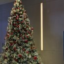 나인트리 바이 파르나스 서울 판교 | "나인트리 바이 파르나스 서울 판교" 솔직 후기·근처 맛집 (100% 내돈내산)