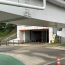 개화 | 대구 하중도 정원박람회 실시간 개화 현황 방문 후기