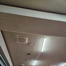 서산불낙지 이미지