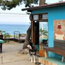 등명해변(철길옆) 이미지