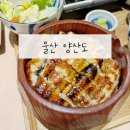 울산 달동 삼산동 덮밥 맛집 일식 전문 분위기좋은 양산도