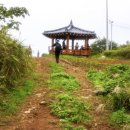 손죽민박 이미지