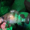 신향마을회관 이미지