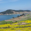 봄빛 민박 이미지